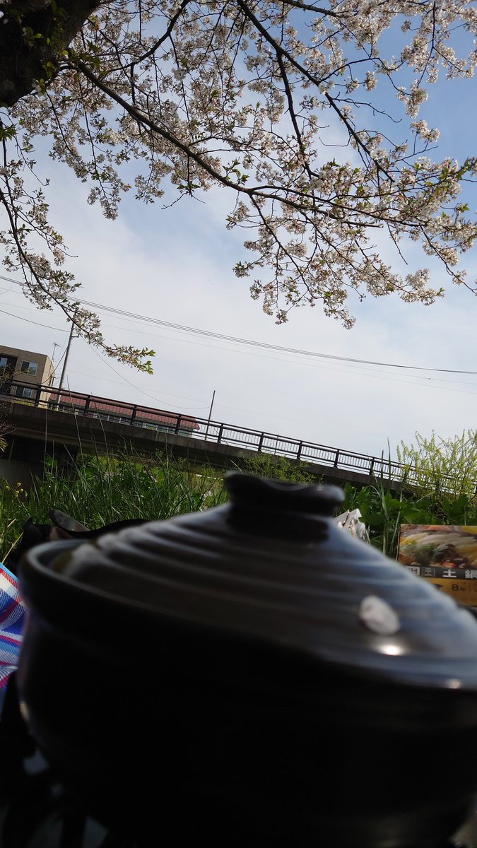 YUTAGoto2's tweet photo. 今年最初で最後の花見かな🎵 https://t.co/opVdjtG3VC