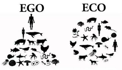 EGO or ECO? The question of human supremacy.