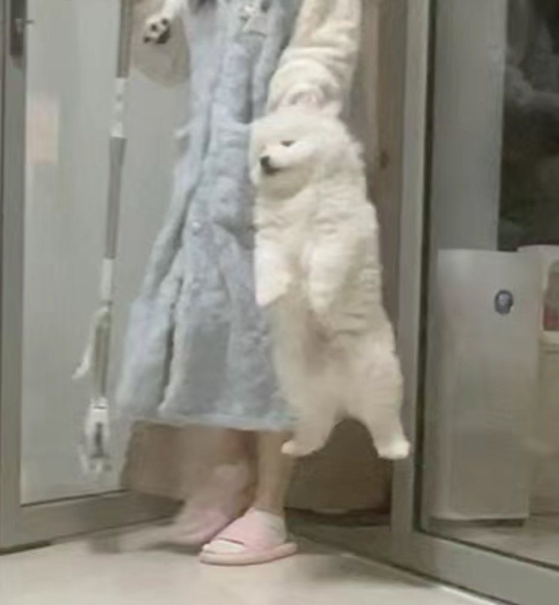 dogonboo's tweet photo. หมาเก่าๆ ที่โดนหยิบไปทิ้ง https://t.co/XqgTU3nuDd