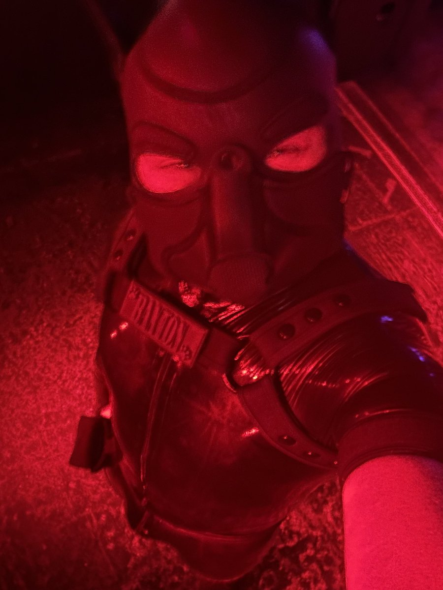 Puppies wearing his rubber tonight 🎶