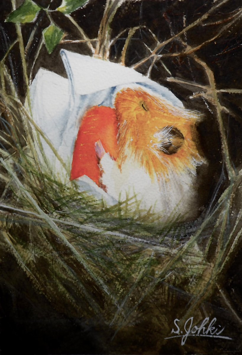 #対になってる絵をあげる　
先代のモルモット「クッキー」です。在りし日とお別れの時。

Watercolor（透明水彩画） 過去作
#透明水彩 #水彩 #水彩画 #透明水彩研究会 #watercolor  #TWS #絵描き #画家 #透明水彩画 #美術ネットワーク #絵描きさんと繋がりたい #モルモット #guineapig #動物の絵