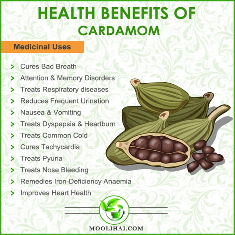 OrganicLiveFood's tweet photo. Cardamom is an amazing spice high in antioxidants &amp; nutrients &amp; can detox the body from accumulation of free radicals &amp; toxins. Cardamom is also a great anti-bacterial, antiviral and antifungal &amp; can fight against depression &amp; treat cold and flu &amp; anemia

https://t.co/n6PgHhb1VK
