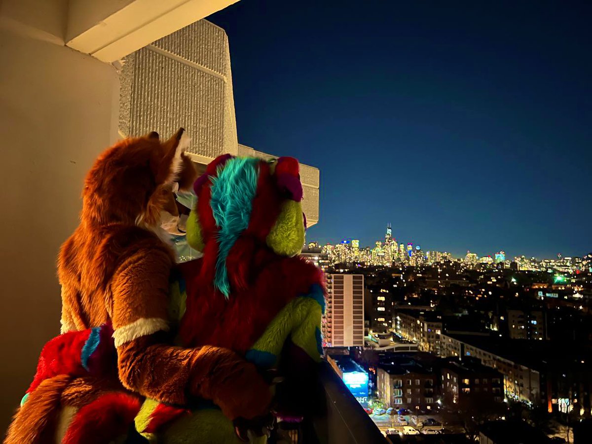 SaberStubs's tweet image. City view with my girl @Mochalattefox 🥰