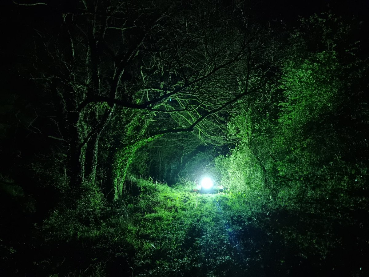 Moth trapping at Watercress Farm, @belmont_estate overnight has produced in excess of 40 species so far. I do love the peace & solitude of walking the traps an hour or so before dawn. Species & some pics will follow in due course. Time to listen to the dawn chorus. 😀