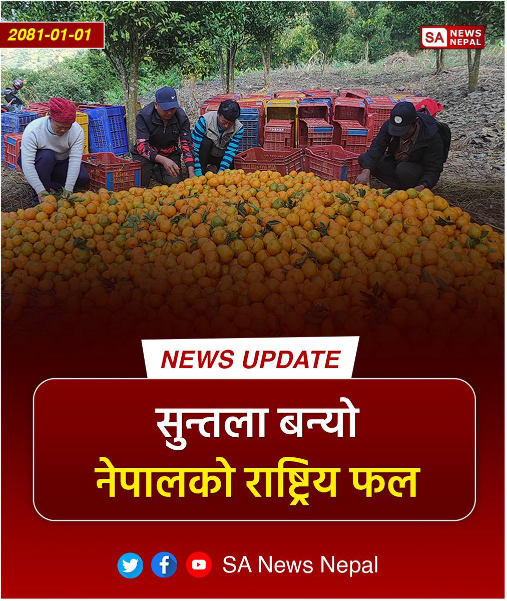 #sanewsnepal #NewsUpdate सरकारले सुन्तलालाई राष्ट्रिय फल घोषणा गरेको छ । शुक्रबार बसेको मन्त्रिपरिषद् बैठकले कृषि तथा पशुपन्छी विकास मन्त्रालयको प्रस्तावमा सुन्तलालाई राष्ट्रिय फल घोषणा गर्ने निर्णय गरेको सञ्चार तथा सूचना प्रविधिमन्त्री रेखा शर्माले जानकारी दिइन् ।