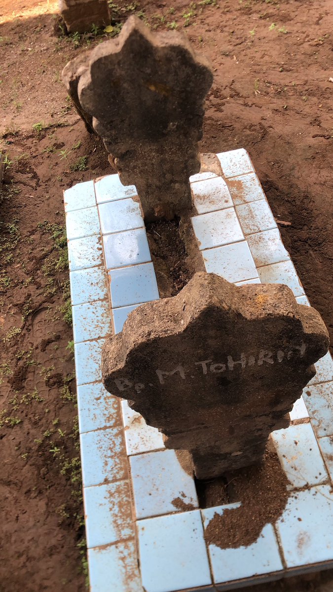 Patrick star tweet media