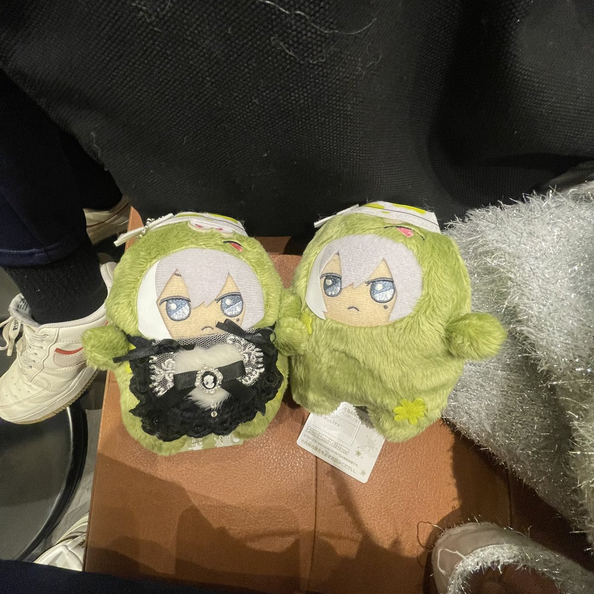 2匹お迎えしました💞