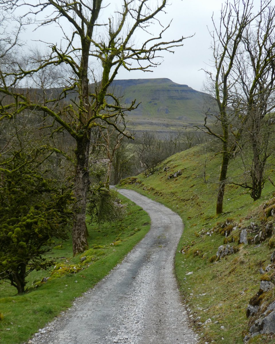 Walking down to Chapel-le-Dale,with Ingleborough in the background