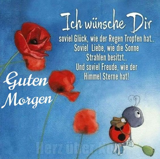 Schönen guten Morgen meine Lieben, ich wünsche euch einen wunderbaren Tag und ein ganz tolles Wochenende 😊♥️☕️