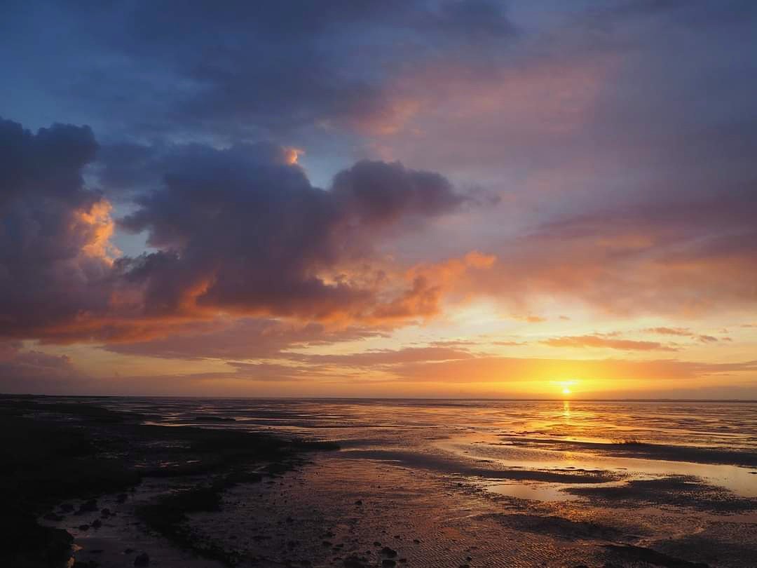 #Zonsopkomst Wad 
#Ameland #Waddenzee #Werelderfgoed #camer_a_pril #mooieluchten #Goedemorgen #Vogels 🎶