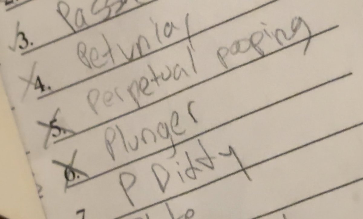 playing scattergories the category is “toiletries” Aiden writes: “Plunger”