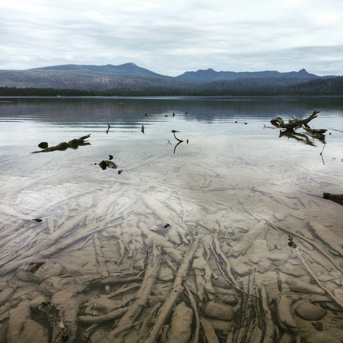 Giselleinmotion's tweet photo. #Top4Theme is #Top4Lakes. A last-minute share here
@obligatraveler @intheolivegrov1
@OdetteDunn @pipeaway_travel
The Lake District, UK; swan at a Loch in Scotland; Lake St Clair in Tasmania; Lake Superior - Duluth. https://t.co/elpDLzXQYO
