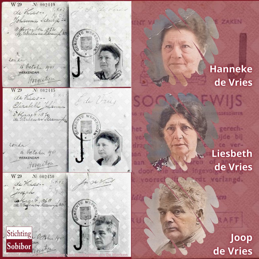 3/7 Joseph (Joop) de Vries was born on March 6, 1868. Elizabeth Johanna (Liesbeth) de Vries on March 3, 1870 and Johanna Sientje (Hanneke) de Vries on November 8, 1872. All in the municipality of De Werken and Sleeuwijk.