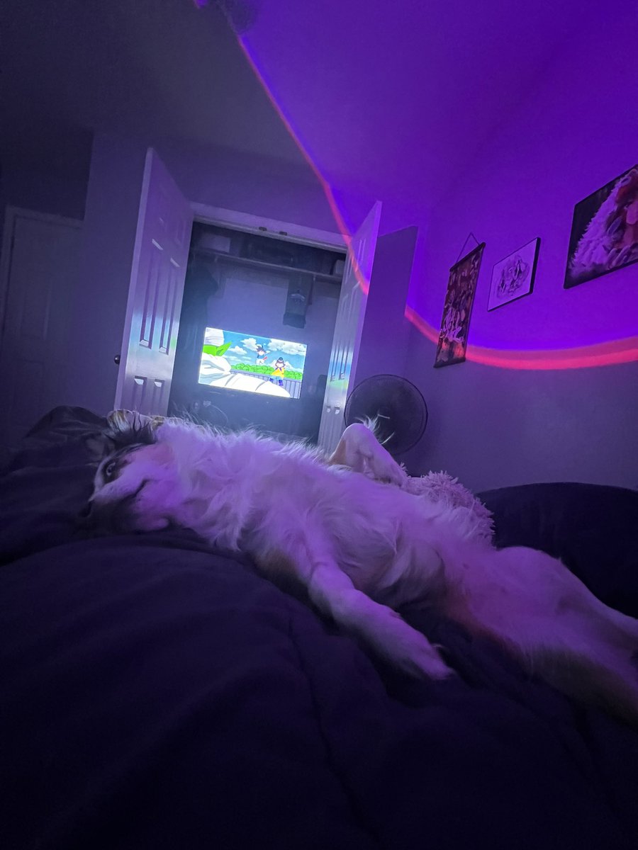 King Ranny tweet media