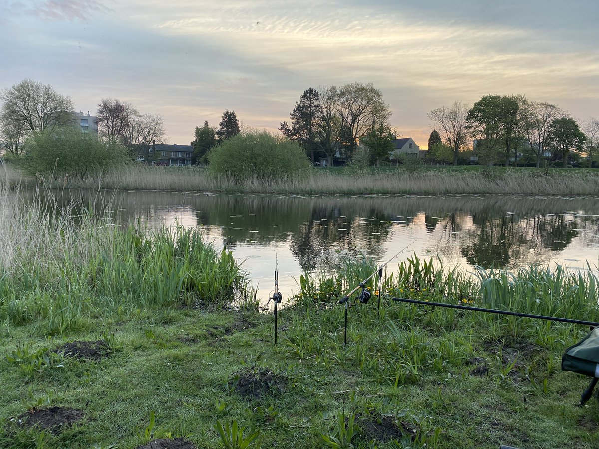 The spot for today. Traps are set!🤞🏻🎣
#carpfishing #carp #karper #karpervissen #fishingtrip #fishing