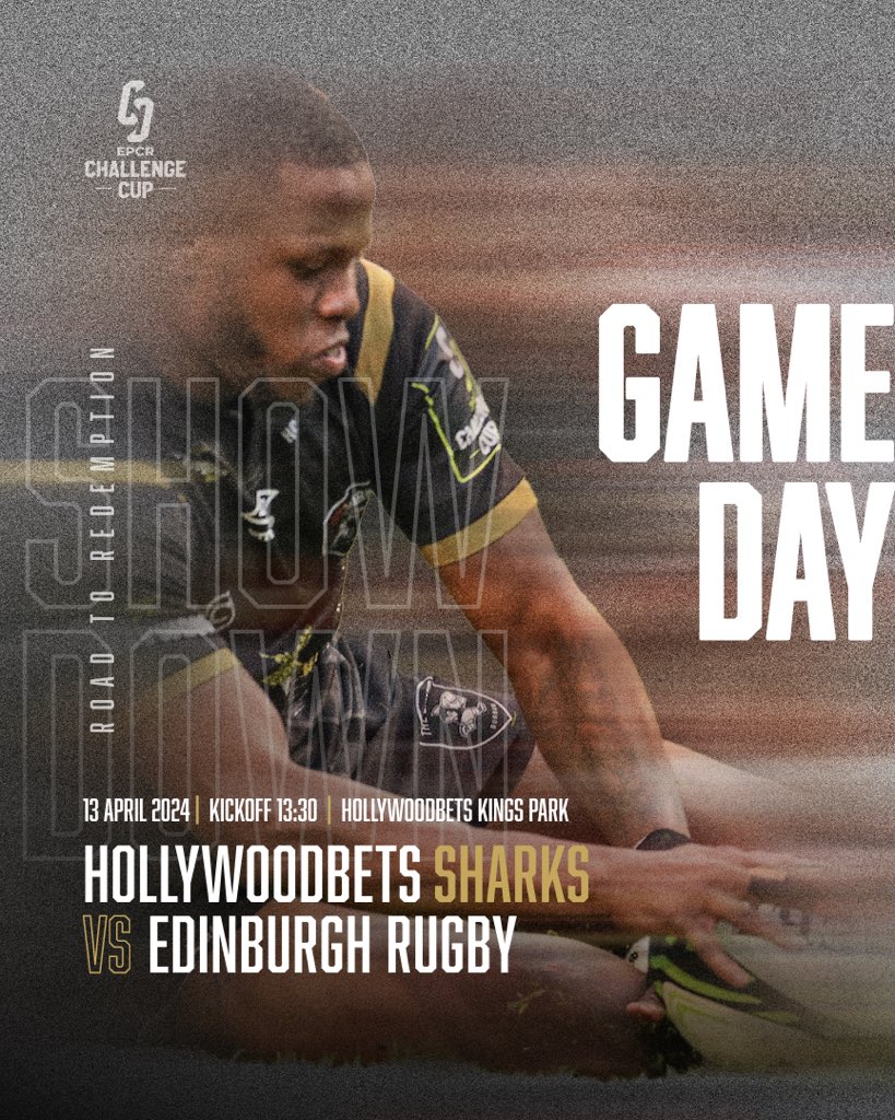 SharksRugby's tweet photo. The quarter finals are here 🙌

#ChallengeCup  #SHAvEDI https://t.co/B7CEoqq6M7