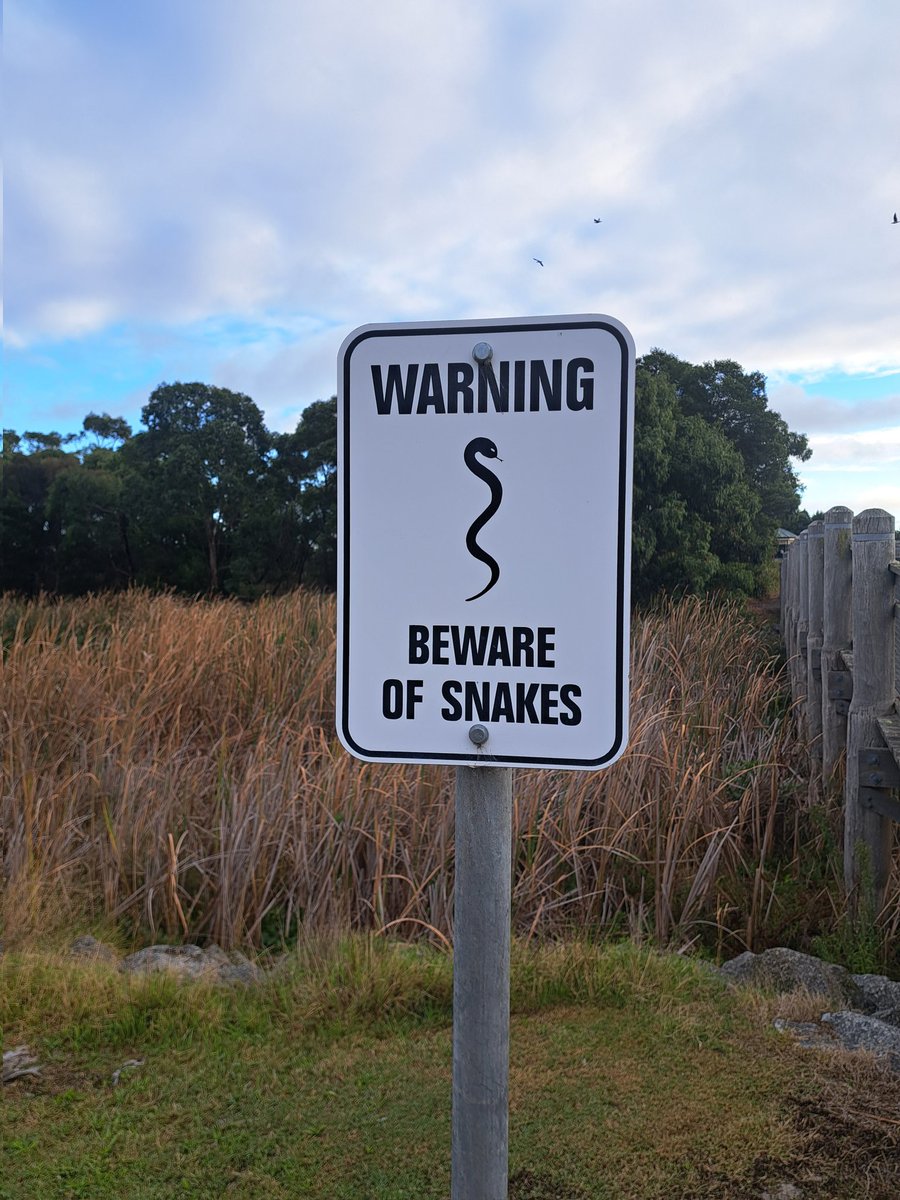 After last week's #crocodiles, this week's potential #parkrun wildlife hazard was #snakes at #Karkarook @parkrunAU. Fortunately didn't spot any and there were some caped crusaders on the course. Full story: linkedin.com/posts/activity… #loveparkrun