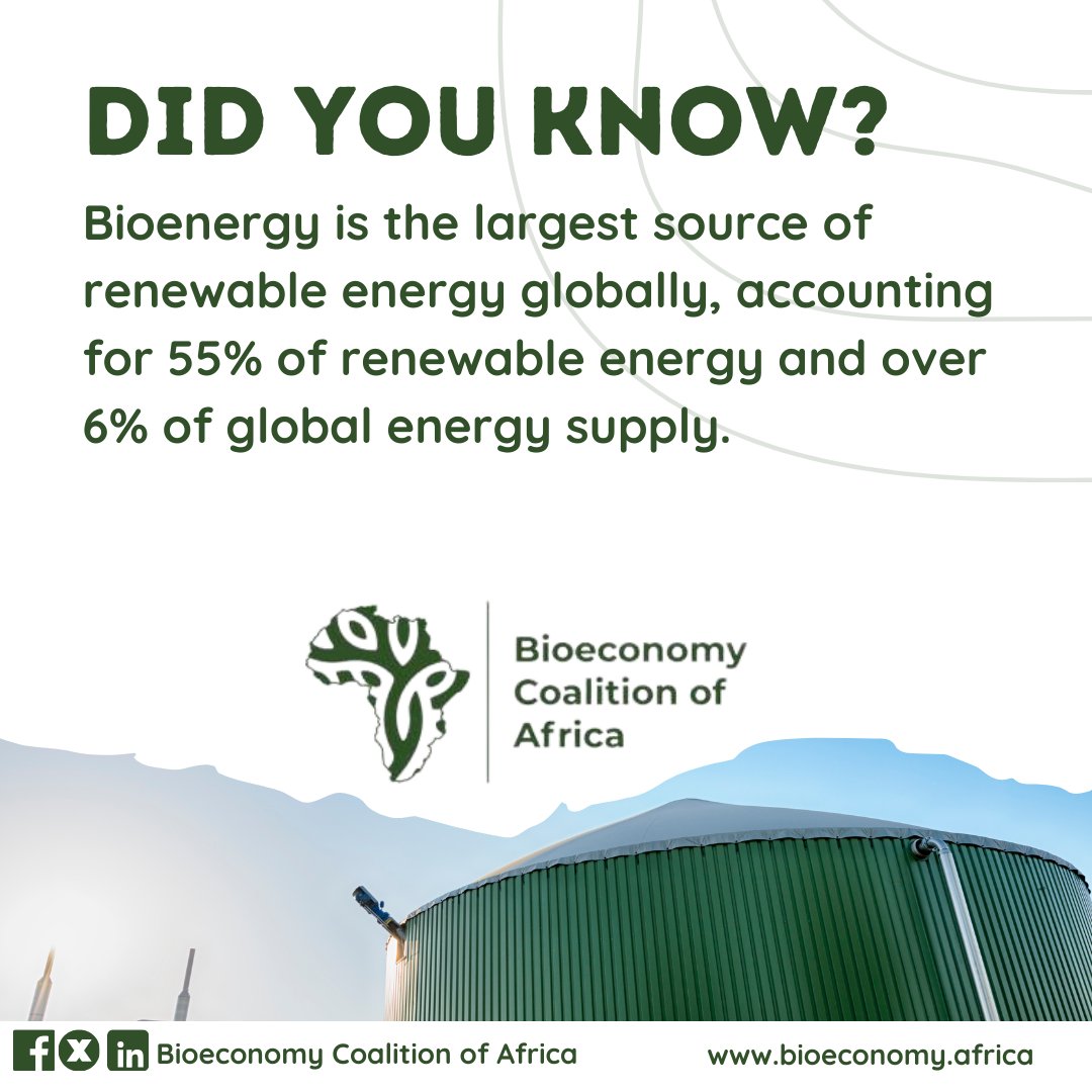 Did you know? #Bioenergy reigns as the #1 renewable energy source worldwide, powering over 6% of global energy needs! 💡With its versatility and impact, it's leading the charge towards a sustainable future.