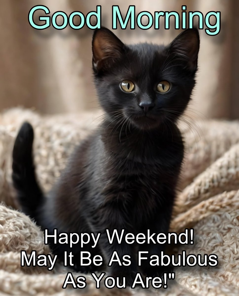 #caturday @shirley82829043 @FRISEEMYRIAM @welsh_lisa2 @merabethjames @Jimmysimmonds1 @Shaun19851985 @vinodch8560 @Jilliemary @monicasloves @MadsandAlfie @lesley_62974 @sywnps @tartancraft2 @pampisford @DerekPa30582481 @AnnieEloiseLam1 @NewlandsLainey @89BrownSugar