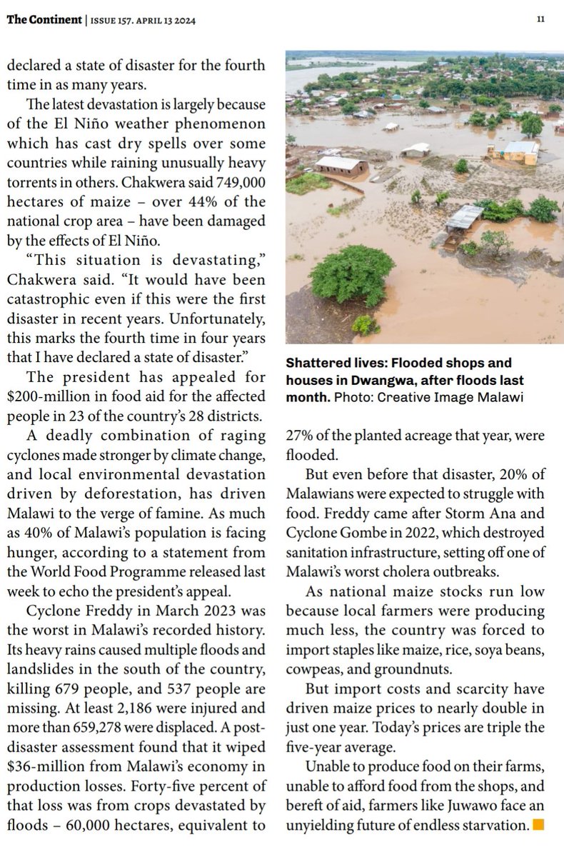 Delve into my newest feature in @thecontinent_, chronicling the dire ramifications of climate change on #Malawi's agricultural landscape. Read about how this existential challenge is inexorably pushing farmers to the precipice of survival.