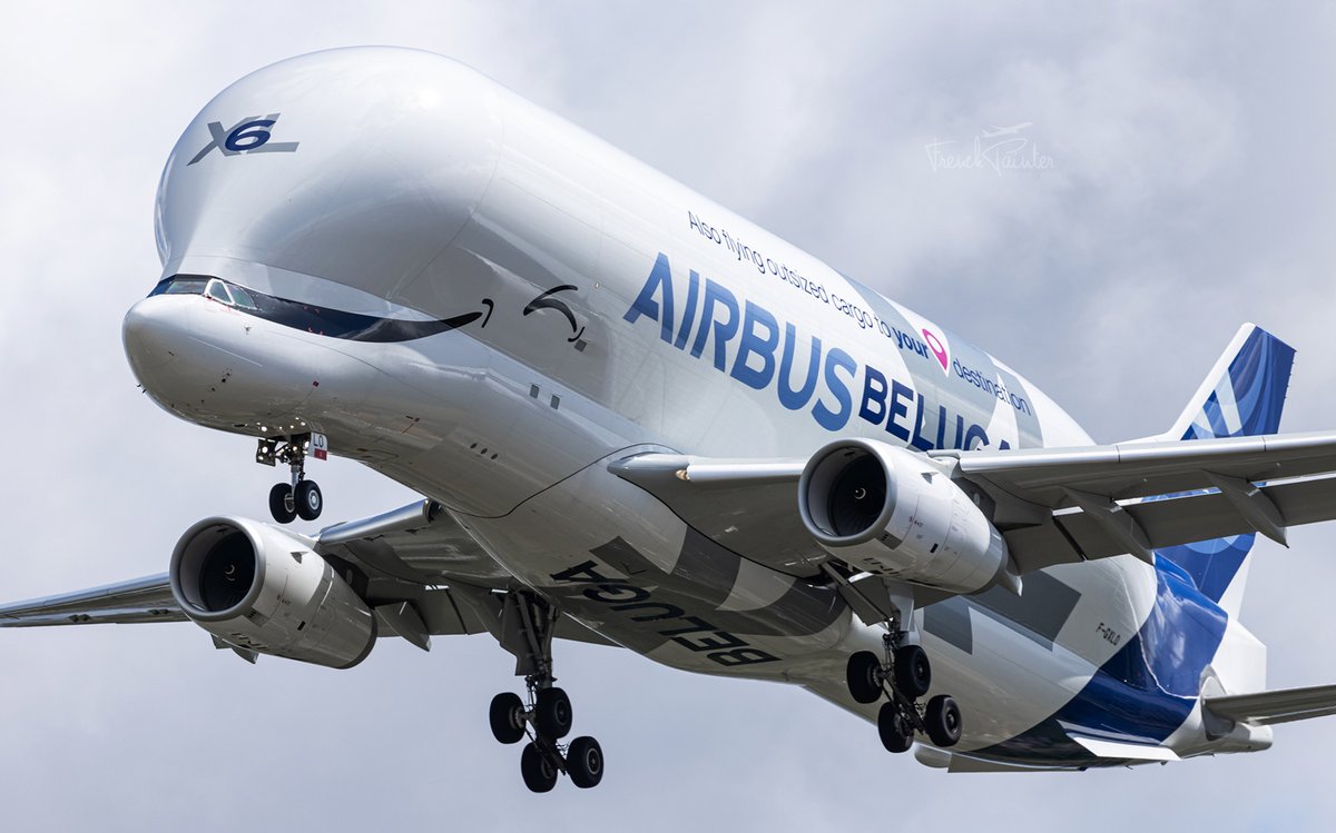 A #BelugaXL for your weekend 🐋