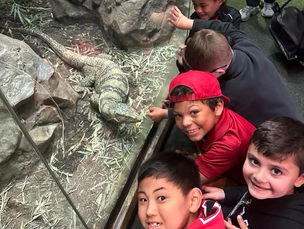 VCSCrusaders's tweet photo. We had a blast with our first graders today at the LA Zoo! Such a blessing getting to see so many amazing animals up close and personal!
_____
#VCSFamily #CRUNITED #VCSElementary https://t.co/WYjKOnI9O9