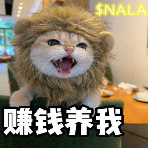 NeilSaul8's tweet photo. @FranklinKcmo $NALA https://t.co/FCbe7y2m1z
