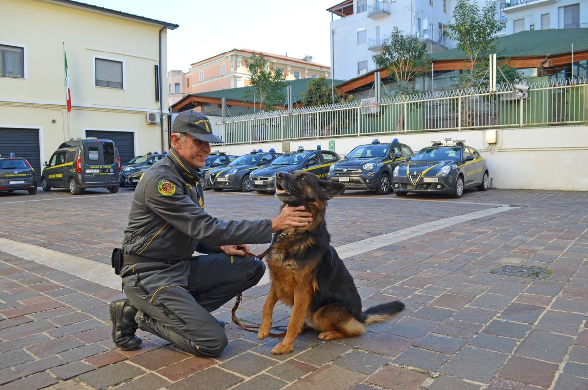 Buongiorno dalla #GuardiadiFinanza. #NoiconVoi #Pescara #Cinofili #nellaTradizioneilFuturo