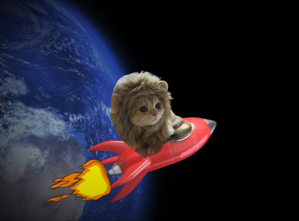 NeilSaul8's tweet photo. @Fityeth $NALA Damn!!!  
You can't spell solana without NALA! https://t.co/iHBgstxLO1
