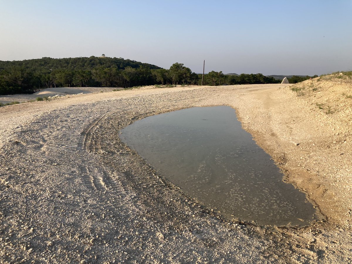 Even a caliche quarry can be made green if you add water, In a few months