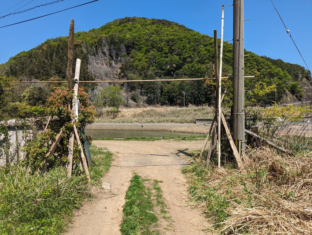 そのへんに落ちてた流木と廃材で門つくった
