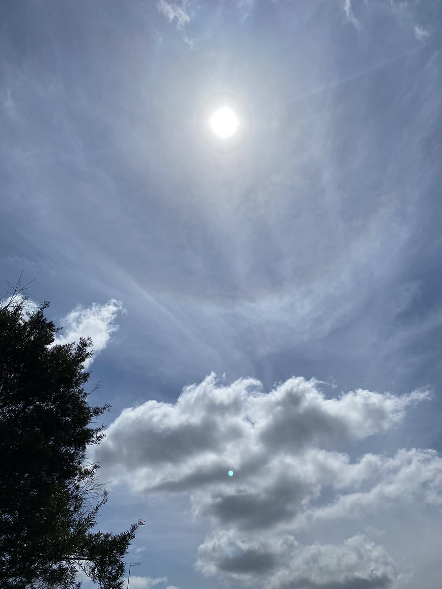 chako3692's tweet photo. 今日はいい天気
#空
#スマホカメラ
#写真 https://t.co/04HZ8T8Zmx