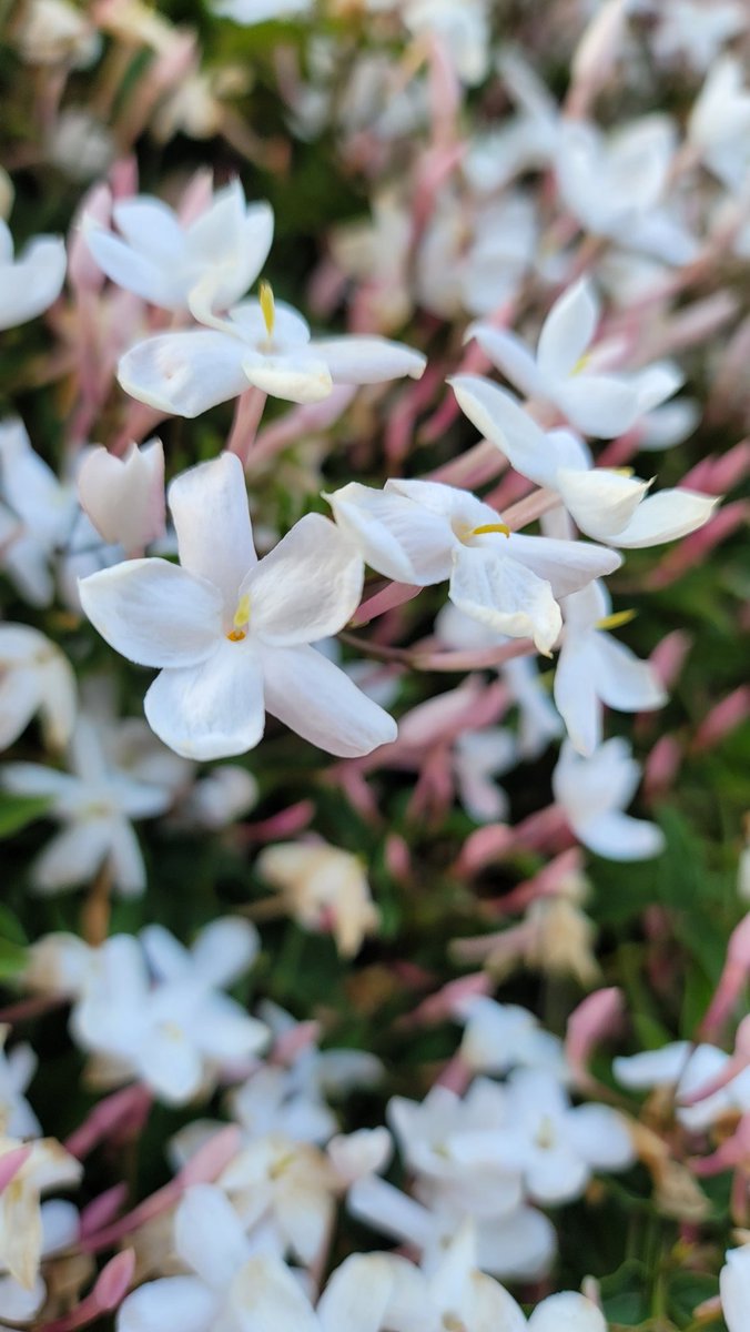 UnityLilac's tweet image. 