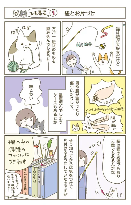 猫がヒモを誤飲した話(1/5) 