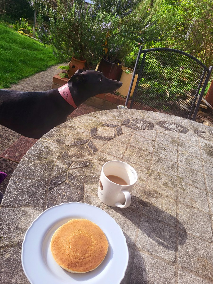 First garden breakfast of the year 👌 The sun is shining 😎 Happy days 😊 #SaturdayMorning