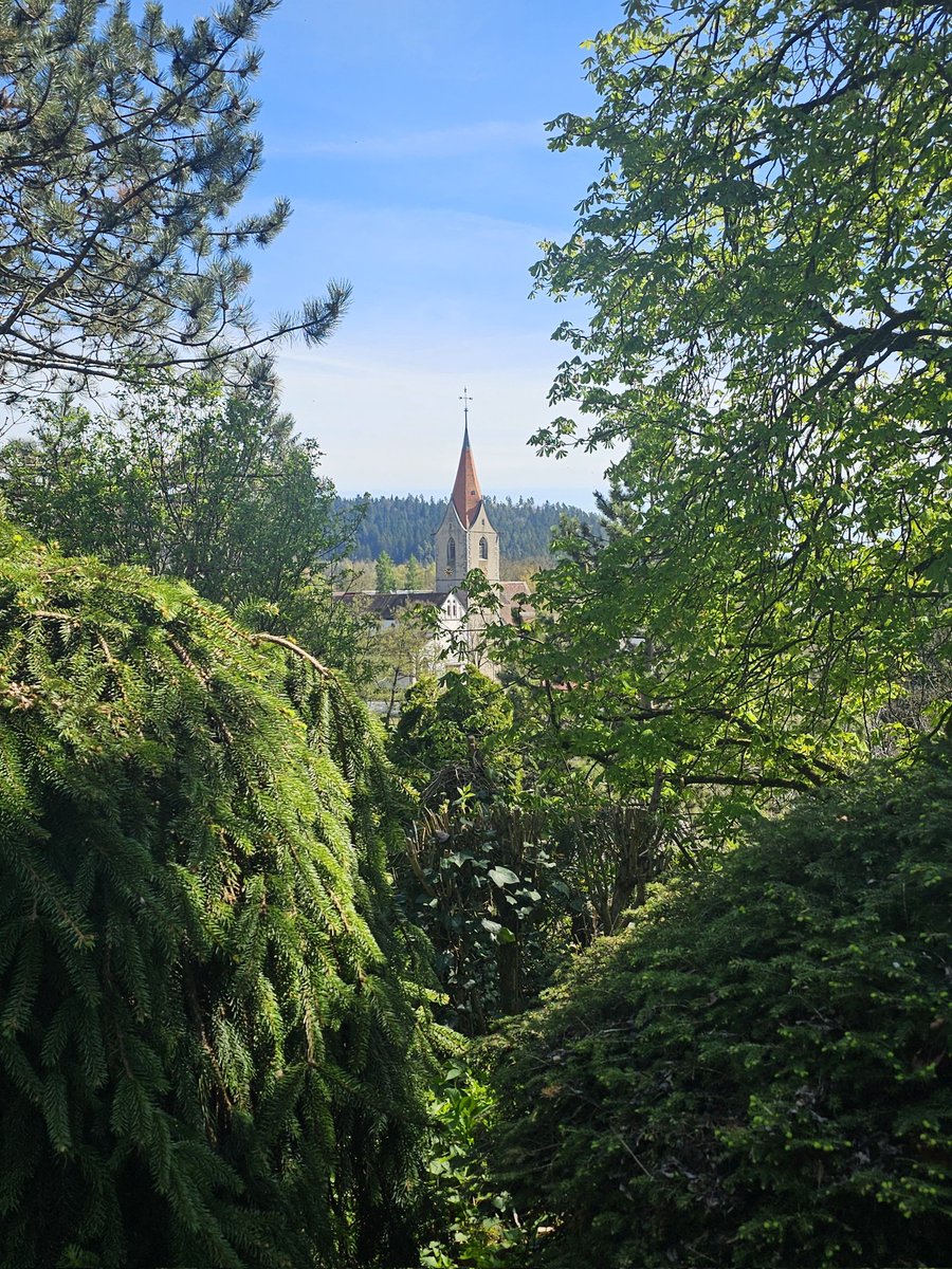 Rottweil, St. Pelagius, view from my parents' house.