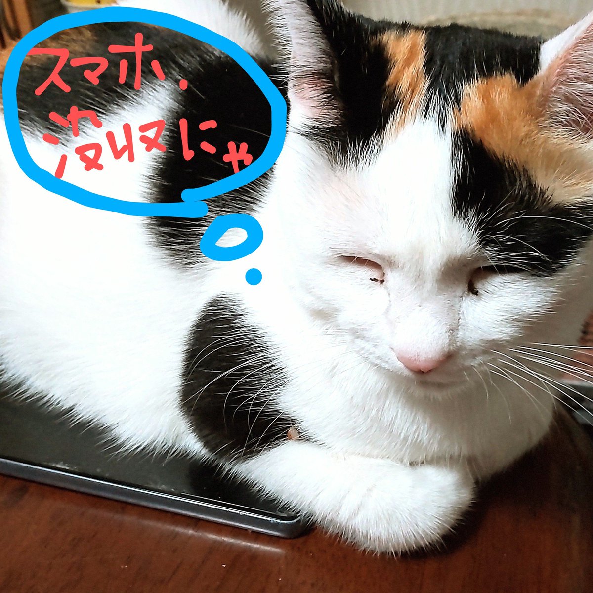 496circus's tweet photo. 大概、スマホ使ったあとテーブルに置くとこんな状態。

あと、お部屋掃除してて鍵ミールとか懐中時計ミールが出てきた��
猫増えてレジン出来ないので、色んなもののお譲り先を見つけたいとこです。 https://t.co/EZ1WjvRLbp
