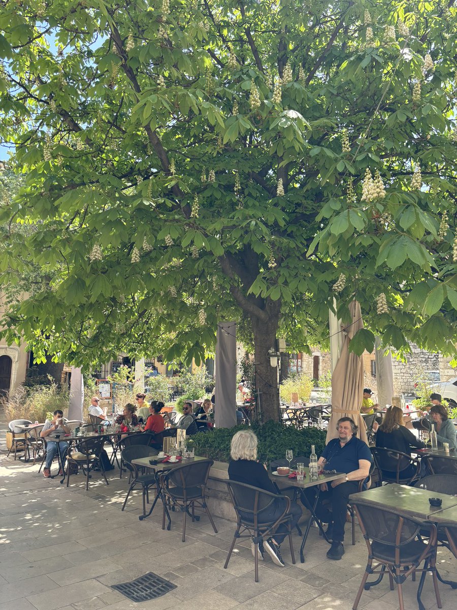 Vence - Provence, Alpes, Côte d’Azur