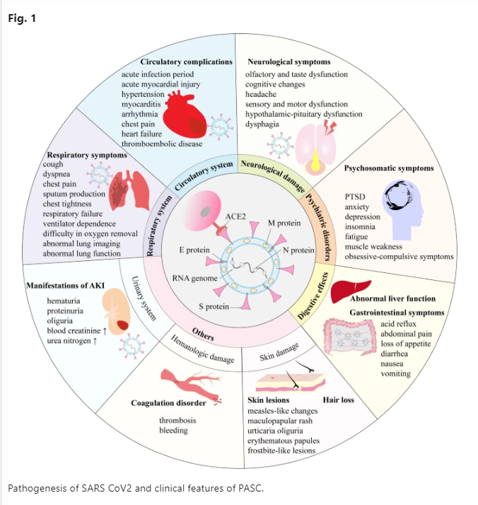 Research progress of post-acute sequelae after SARS-CoV-2 infection ❗Facing “A NEW global health crisis secondary to acute SarsCoV2 infection” ➡️“Post-acute sequelae after SARS-CoV-2 infection (PASC)”, also referred to as “long COVID” syndrome with a high level of…