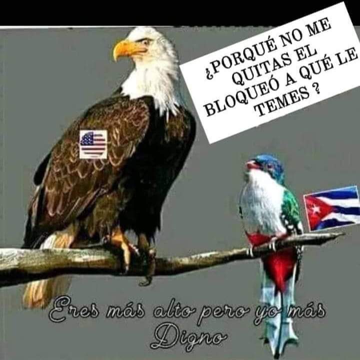 #UnblockCuba 
#LetCubaLive
@AmbassadorCuba 
@EmbaCubaGambia 
@Colaboracionqba 
@Bmcgambia2 
@BmcGambiaBlog 
@CubaGambia 
@uccmcuba 
@cabrera_laza