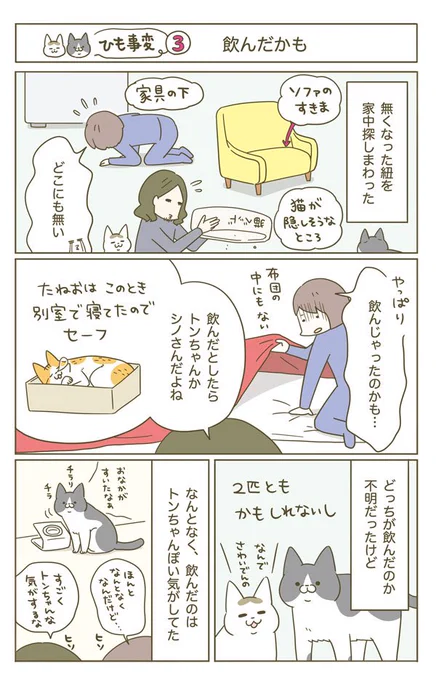 猫がヒモを誤飲した話(2/5) 