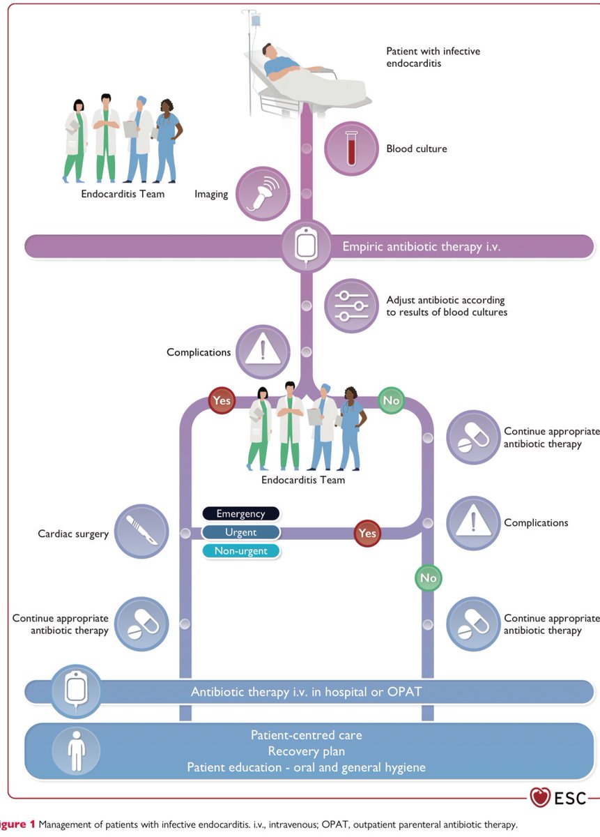 Don’t forget the most recent @escardio 2023 #endocarditis guidelines written by @VDelgadoGarcia and colleagues @ESC_Journals ➡️ escardio.org/Guidelines/Cli… with TOE playing a very important role in diagnosis and management @NAjmoneMarsan @JGrapsa @EZancanaroMD @ESC_Journals