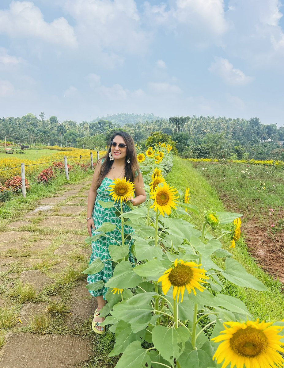 #Baisakhi vibes with the vibrant #Sunflowers 🌻 

Wishes for peace , prosperity and happiness for all 🌾 
#HappyBaisakhi 💚