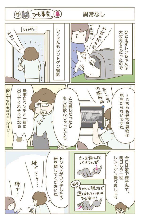 猫がヒモを誤飲した話(4/5) 