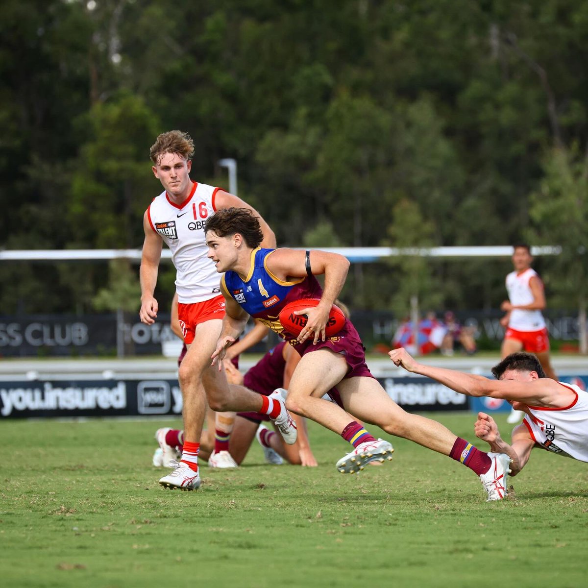 brisbanelions tweet picture