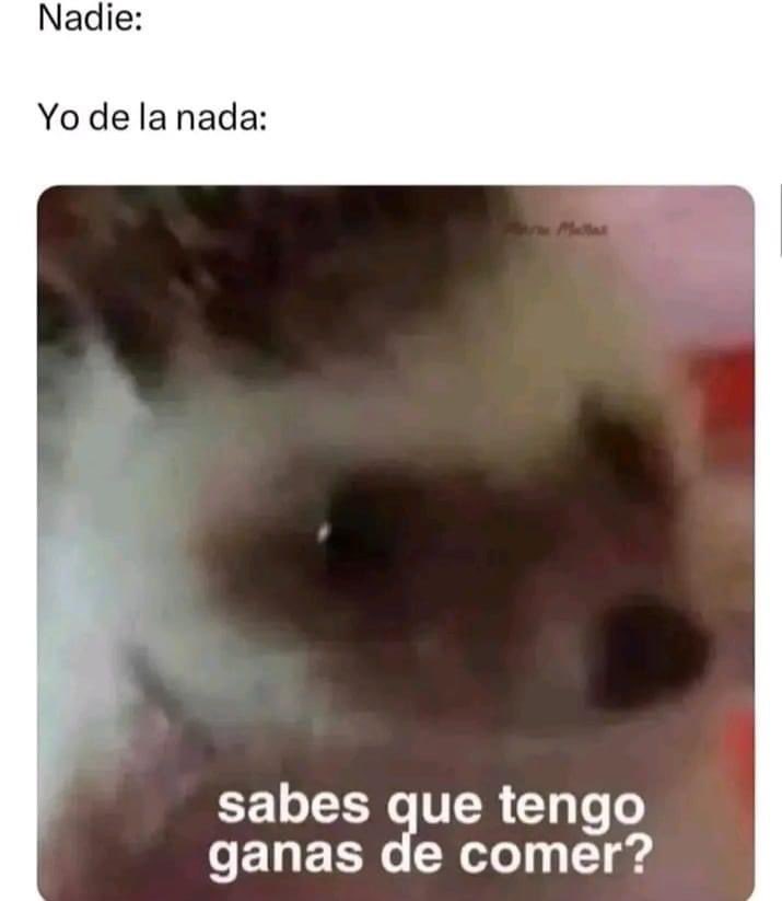 Shuvibnvds's tweet photo. El hambre siempre presente 🫡 https://t.co/bfz8jyCdU5