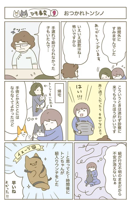 猫がヒモを誤飲した話(5/5) 