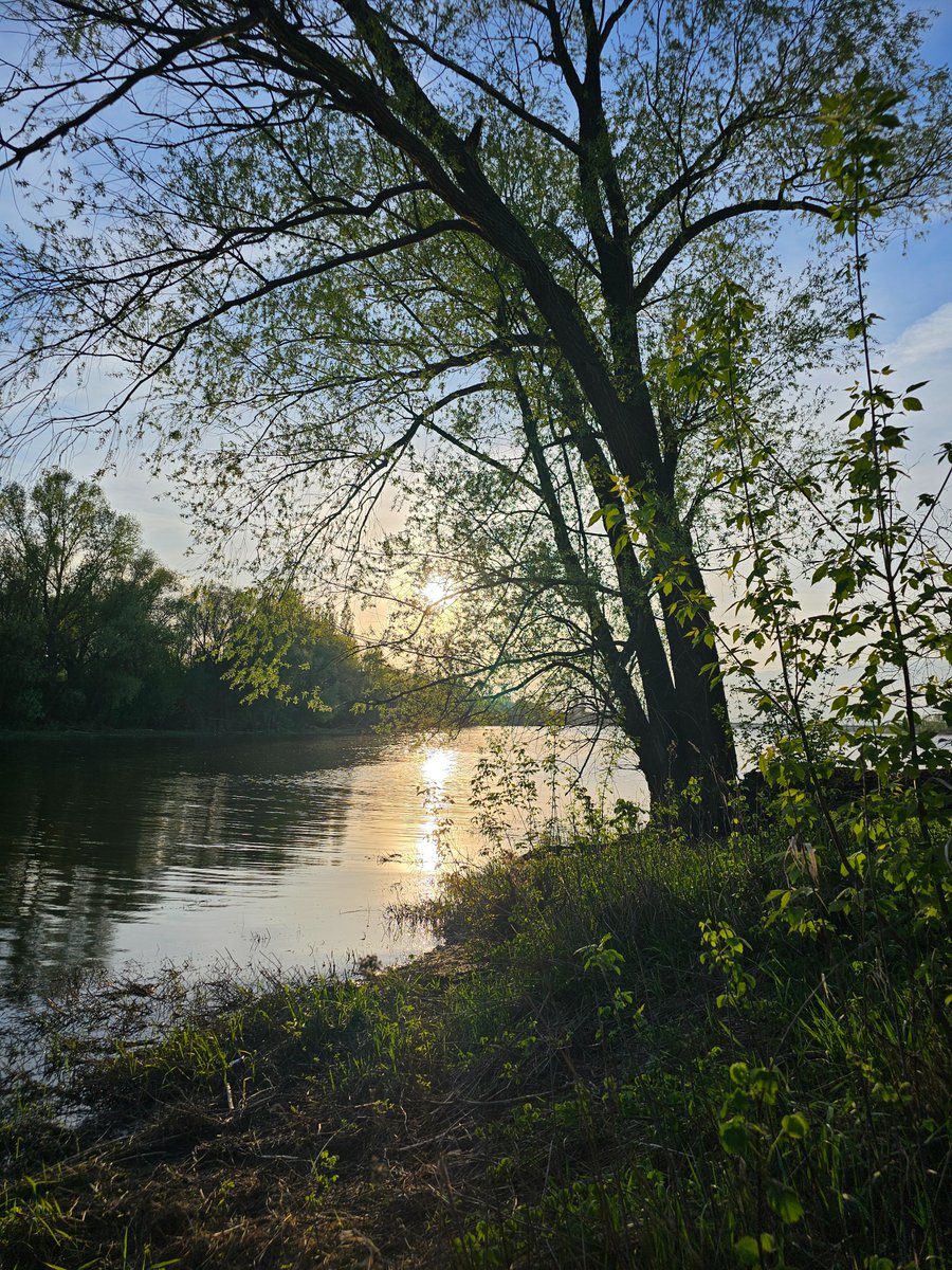 Weekend ▪️▪️▪️
#photooftheday #picoftheday #photoshoot #NaturalBeauty #NaturePhotography #nofilter #ThePhotoHour #spring #wildlife