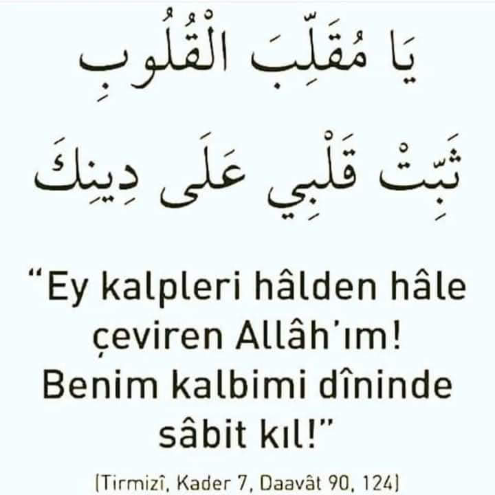 EBU BİLAL- Furkan gönüllüsü (@mercede06975846) on Twitter photo 