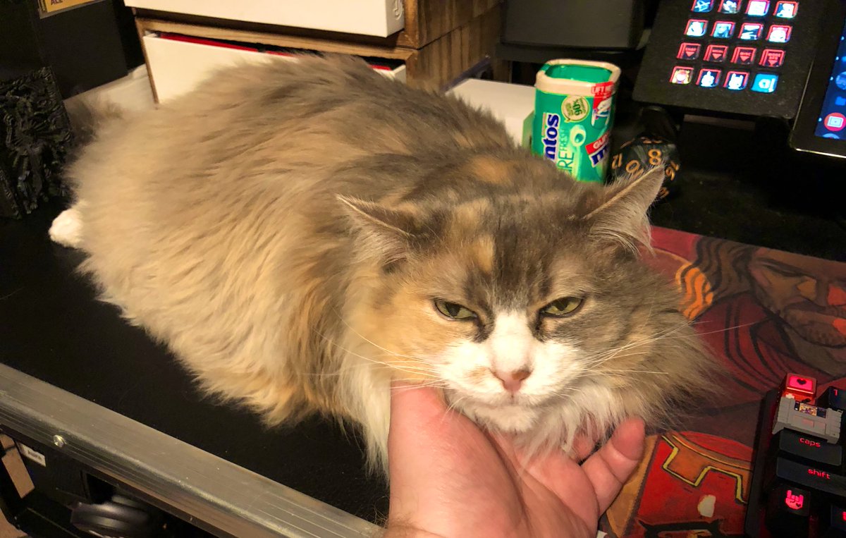 Rockhart /// Andrew tweet media